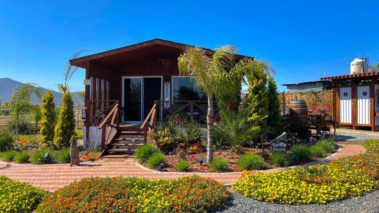 Paraiso Del Valle Ensenada Bagian luar foto